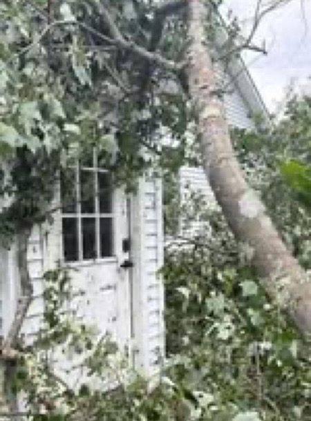 Fallen tree resting against a Connecticut home after storm damage